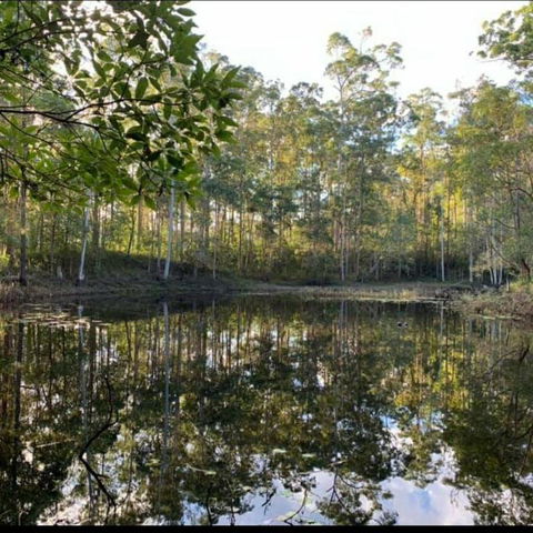 Oakey Creek Country Retreat Kenilworth - QLD Tourism 2