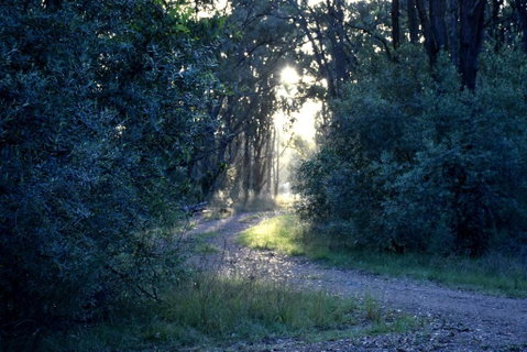 On Bell Glamping - QLD Tourism 3