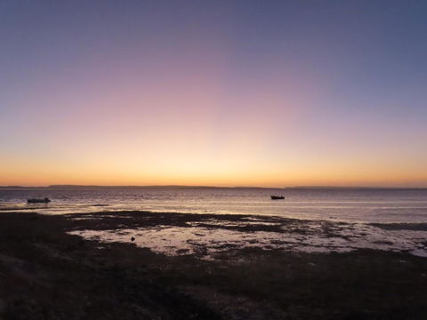 PACEYS PLACE - QLD Tourism 0