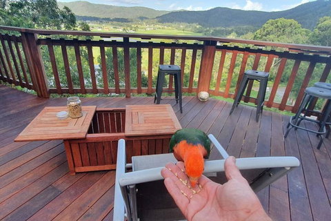 Paterson Skywalk - QLD Tourism 3