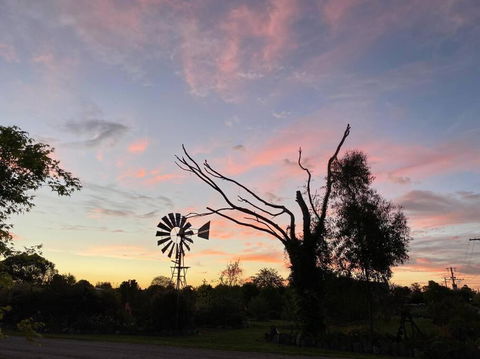 Pull Up Stumps - QLD Tourism 1