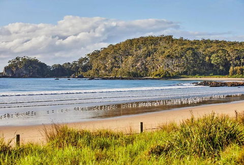 Rare Broulee Beachfront House - QLD Tourism 3