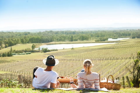 Audrey Wilkinson Vineyard - QLD Tourism 0