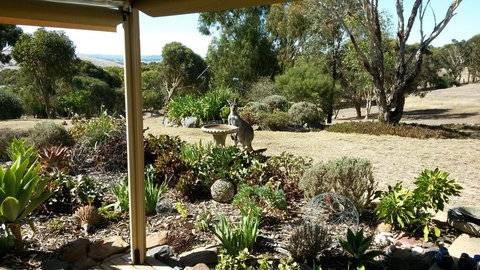 Austiny Bed And Breakfast Victor Harbor - Queensland Tourism 3
