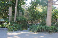 Book Macclesfield Accommodation Vacations QLD Tourism QLD Tourism