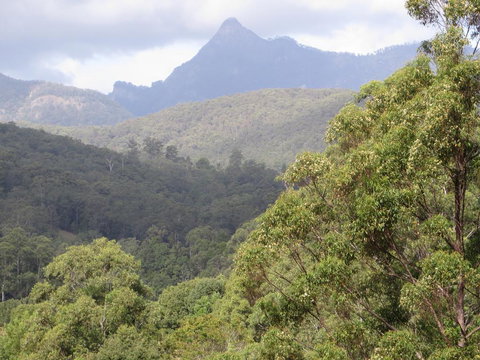 Babbling Brook Retreat - QLD Tourism 2