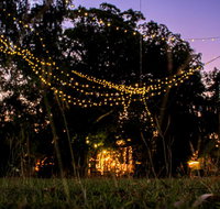 Banyan Tree - QLD Tourism