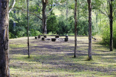 Barrington River Lodge - Queensland Tourism 1