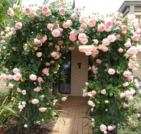 Baudins of Busselton Bed and Breakfast - QLD Tourism