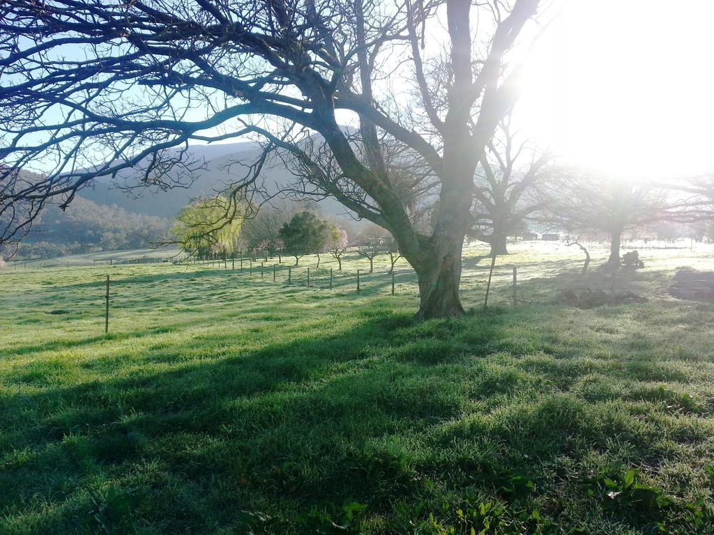 Lucyvale VIC QLD Tourism
