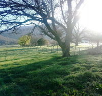 Bay Creek Guest House - QLD Tourism