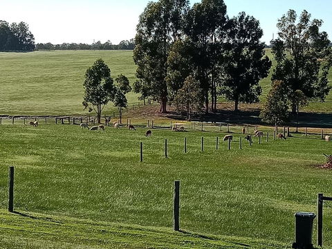 Redtail Ridge Cottages - QLD Tourism 1