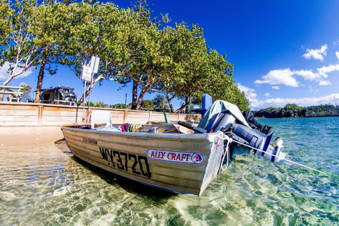 Reflections Massy Greene - Holiday Park - Queensland Tourism 0