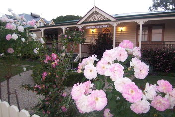 Reid\'s Place with QLD Tourism