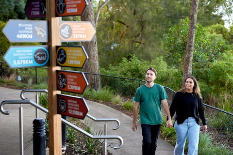 Roar And Snore - Queensland Tourism 2