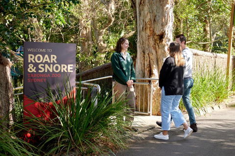 Roar And Snore - Queensland Tourism 1