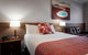 Roma Inland Motor Inn - thumb 3