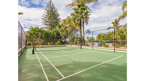 Royal Palm 19 - Queensland Tourism 3