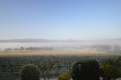Sancerre Estate - QLD Tourism 3