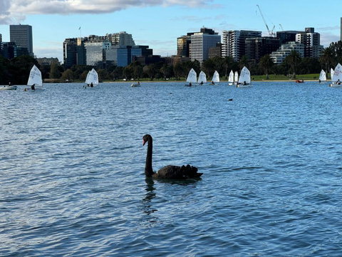 Sand & The City - Queensland Tourism 2