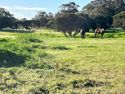 Secluded Rural Retreat In Southwest WA - Queensland Tourism 3