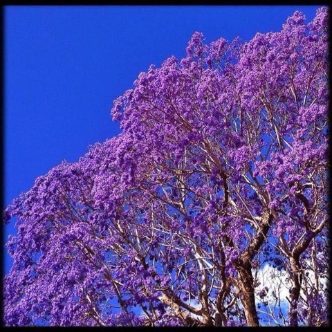 The Church - Queensland Tourism 1