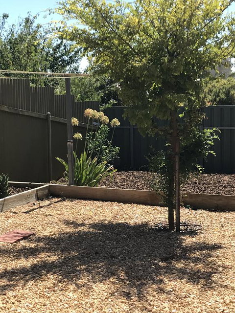 Beatty Cottage - QLD Tourism 2