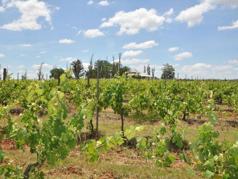 Beggars Bridge Vineyard Homestead W/ Pool + Wifi + Tennis + Vineyard - Queensland Tourism 2