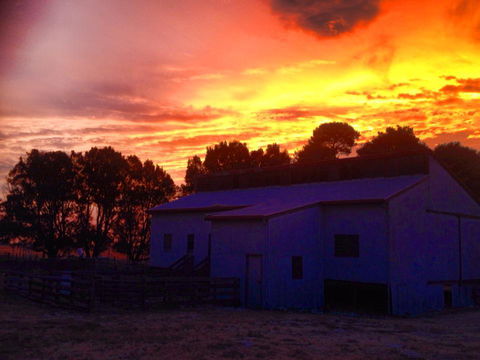Beggs Farmstay B&B - QLD Tourism 1