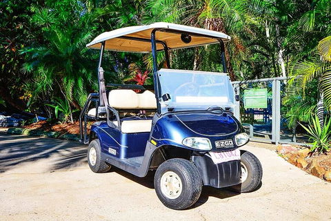Bella Vista East 3 Luxury Ocean Views Large Flat Grassed Area And Buggy - QLD Tourism 3