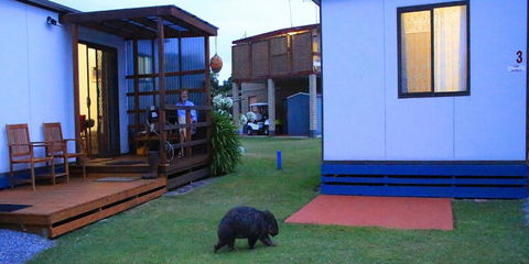 BIG4 Kelso Sands Holiday & Native Wildlife Park - Queensland Tourism 0