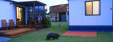 BIG4 Kelso Sands Holiday & Native Wildlife Park - Queensland Tourism 2