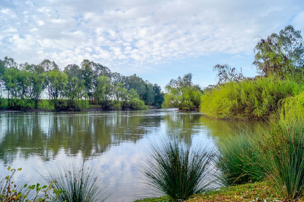 Rowan NSW Queensland Tourism
