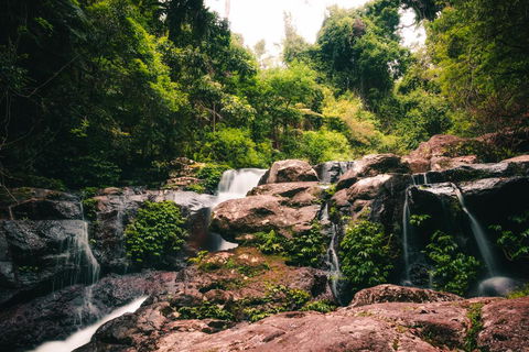 Binna Burra Rainforest Campsite - QLD Tourism 3