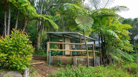 Binna Burra Rainforest Campsite - QLD Tourism 0