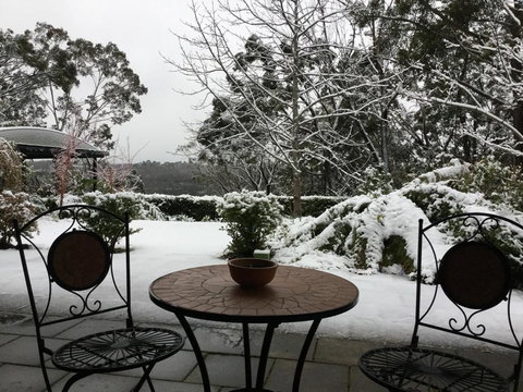 Black Cockatoo Retreat - QLD Tourism 3