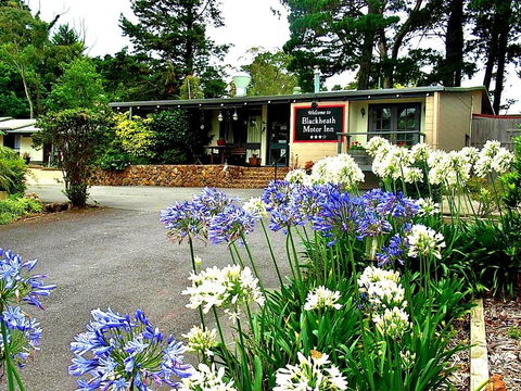 Blackheath Motor Inn - Queensland Tourism 0
