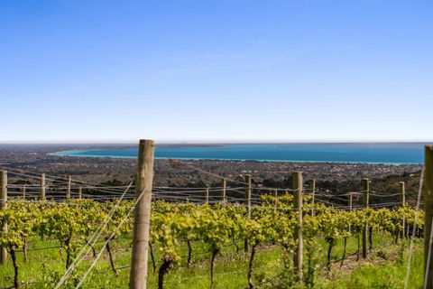 Blue Range Estate Villas - QLD Tourism 3