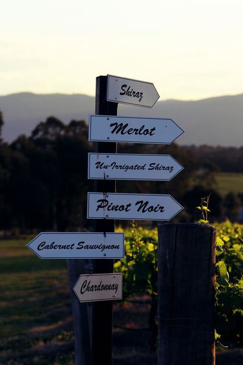 Blueberry Hill Vineyard Villa - Queensland Tourism 3