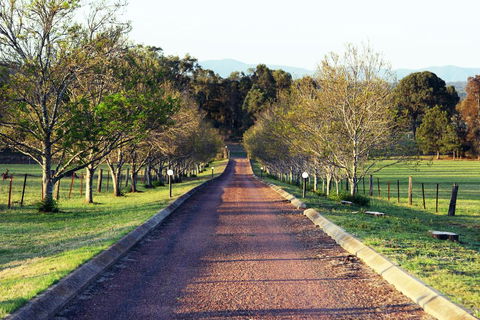 Blueberry Hill Vineyard Villa - Queensland Tourism 0