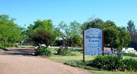 Bluebush Estate - QLD Tourism 0
