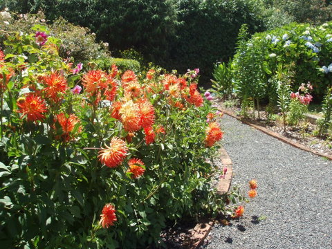 Boat Harbour Garden Cottages - QLD Tourism 0