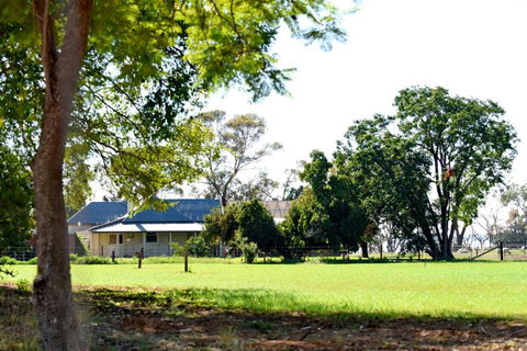 The Jetty Hut - Lake Frontage Barmera Riverland - QLD Tourism 2