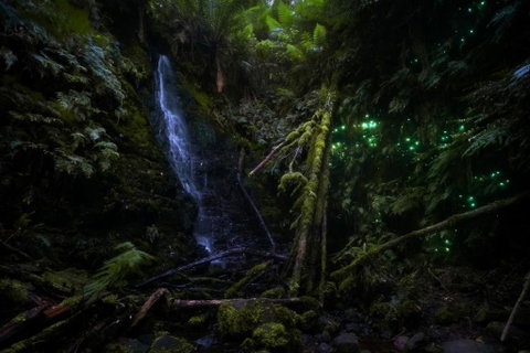 The Source, Otways - QLD Tourism 1