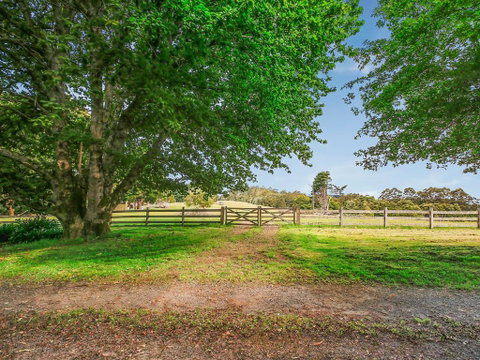 The Source, Otways - QLD Tourism 3