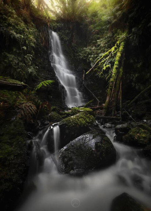 The Source, Otways - QLD Tourism 0