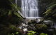 The Source, Otways - thumb 2