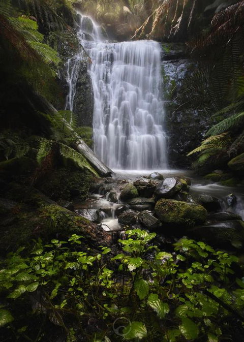 The Source, Otways - QLD Tourism 2