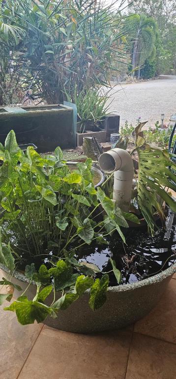 Almost Off Grid Tranquillity - Queensland Tourism 4