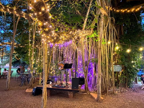 Banyan Tree - QLD Tourism 1
